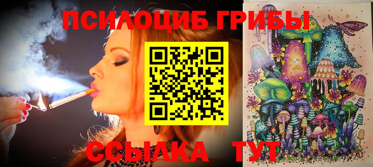 Галлюциногенные грибы Psilocybe  Псилоцибиновые грибы прущие грибы  Дубна  Вход с VPN 
