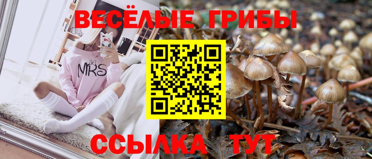 Галлюциногенные грибы ЛСД Дубна
